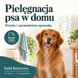 Pielęgnacja psa w domu